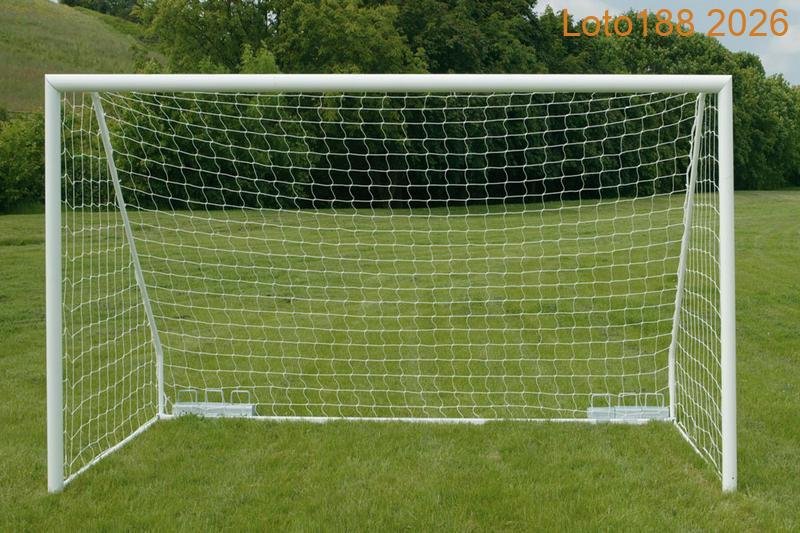 Khung thành trong sân 5