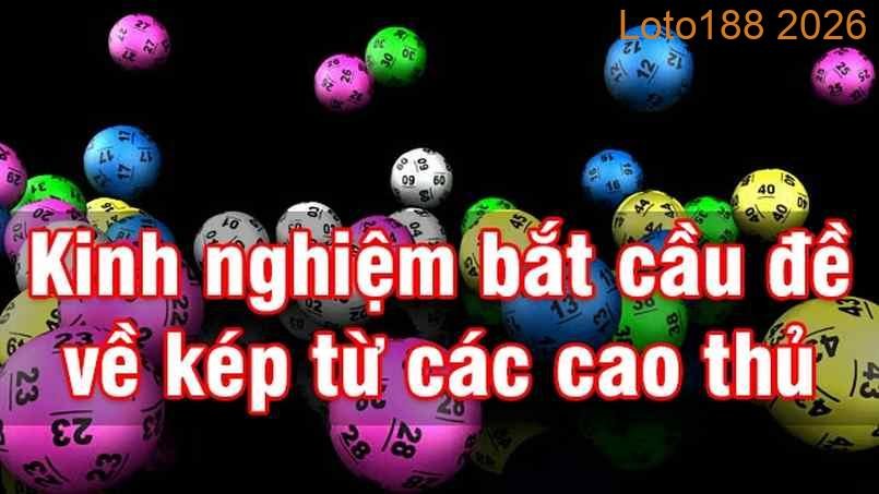 Kinh nghiệm bắt đề kép bách phát bách trúng